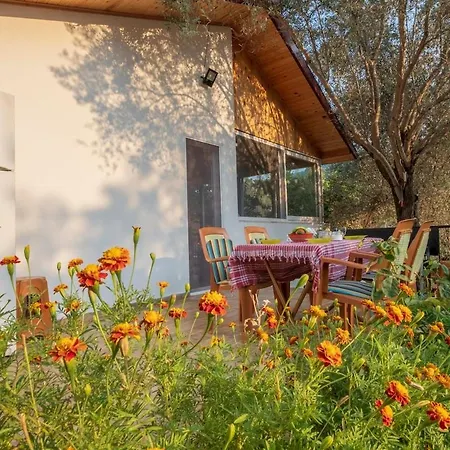 Rose Garden With Private Pool And Jacuzzi Fethiye